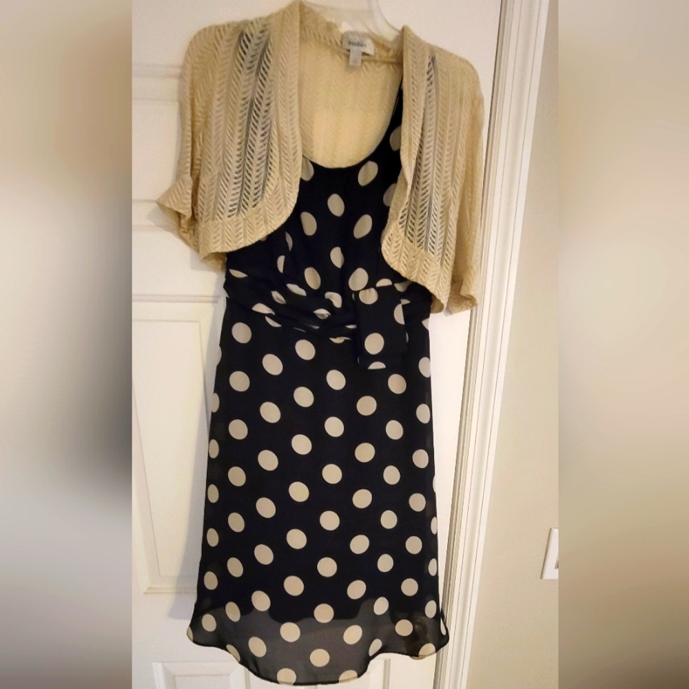SILK-LINED Dress Barn dress